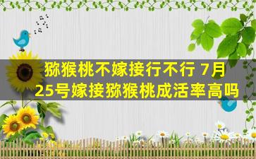 猕猴桃不嫁接行不行 7月25号嫁接猕猴桃成活率高吗